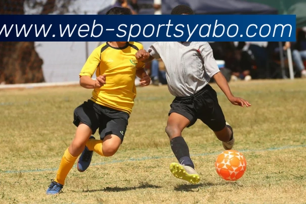 亚博体育APP 封面图